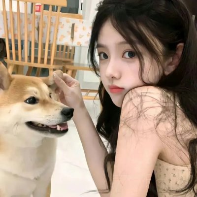 双龙会粤语
